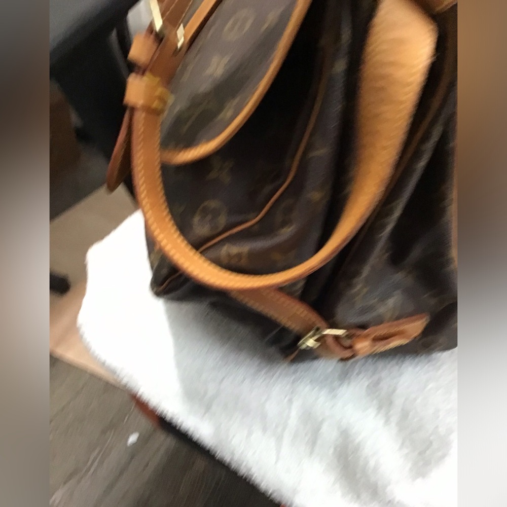 Louis Vuitton Bags - Picture 11 of 15